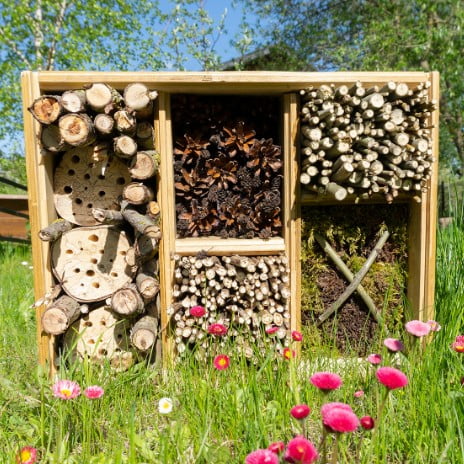 shutterstock-1736937689-web