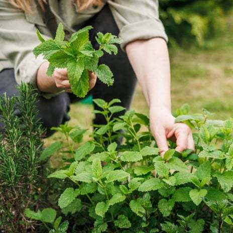 shutterstock-2431328193-web